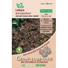 Lettuce Red Salad Bowl Lettuce Red Salad Bowl