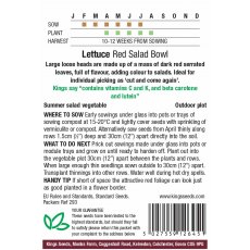 Lettuce Red Salad Bowl Lettuce Red Salad Bowl