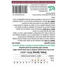 Onion Spring White Lisbon Onion Spring White Lisbon