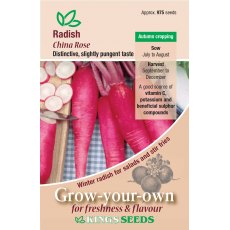 Radish China Rose Radish China Rose