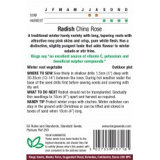 Radish China Rose Radish China Rose