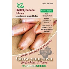 Shallot Zebrune Shallot Zebrune