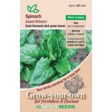 Spinach Giant Winter Spinach Giant Winter
