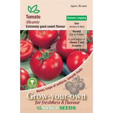 Tomato Alicante Tomato Alicante