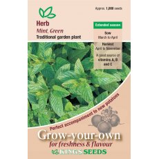 Herb Mint Green Herb Mint Green
