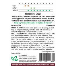 Herb Mint Green Herb Mint Green