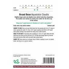 Broad Bean Aquadulce Claudia Broad Bean Aquadulce Claudia