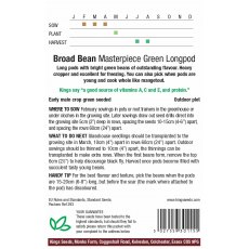 Broad Bean Masterpiece Green Broad Bean Masterpiece Green