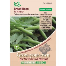 Broad Bean De Monica Broad Bean De Monica