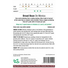 Broad Bean De Monica Broad Bean De Monica