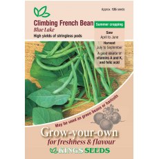 Climbing French Bean Blue Lake Climbing French Bean Blue Lake