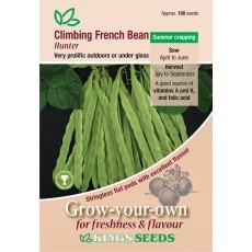 Climbing French Bean Hunter Climbing French Bean Hunter