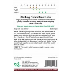 Climbing French Bean Hunter Climbing French Bean Hunter
