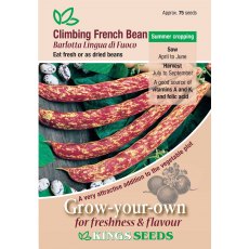 Climbing French Bean Barlotta Di Fuoco Climbing French Bean Barlotta Di Fuoco