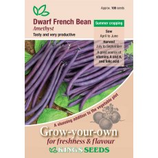 Dwarf French Bean Amethyst Dwarf French Bean Amethyst