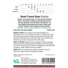 Dwarf French Bean Stanley Dwarf French Bean Stanley