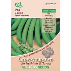 Pea Lincoln Pea Lincoln