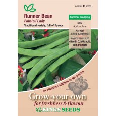 Runner Bean Painted Lady Runner Bean Painted Lady