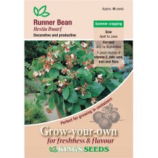 Runner Bean Hestia Dwarf Runner Bean Hestia Dwarf
