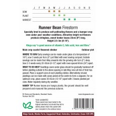 Runner Bean Firestorm Runner Bean Firestorm