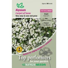 Alyssum Carpet Of Snow Alyssum Carpet Of Snow