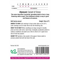 Alyssum Carpet Of Snow Alyssum Carpet Of Snow