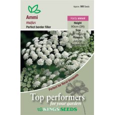 Ammi Majus Ammi Majus