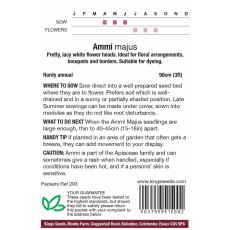 Ammi Majus Ammi Majus