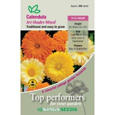 Calendula Art Shades Mixed Calendula Art Shades Mixed