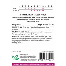 Calendula Art Shades Mixed Calendula Art Shades Mixed