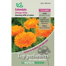 Calendula Orange King Calendula Orange King