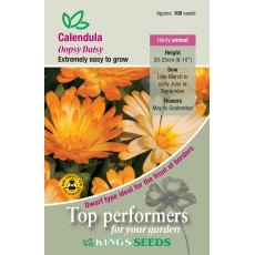 Calendula Oopsy Daisy Calendula Oopsy Daisy