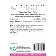 Calendula Oopsy Daisy Calendula Oopsy Daisy