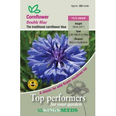Cornflower Double Blue Cornflower Double Blue