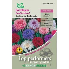 Cornflower Double Mixed Cornflower Double Mixed