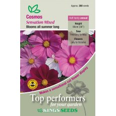 Cosmos Sensation Mixed Cosmos Sensation Mixed