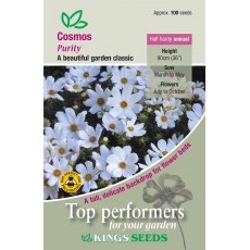 Cosmos Purity Cosmos Purity