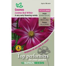 Cosmos Cosimo Red-White Cosmos Cosimo Red-White