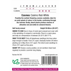 Cosmos Cosimo Red-White Cosmos Cosimo Red-White