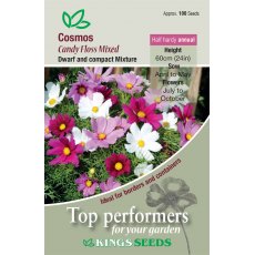 Cosmos Candy Floss Mixed Cosmos Candy Floss Mixed