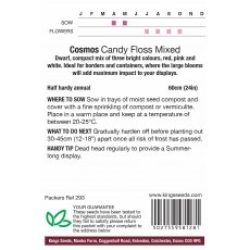 Cosmos Candy Floss Mixed Cosmos Candy Floss Mixed