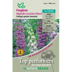 Foxglove Excelsior Mixed Foxglove Excelsior Mixed