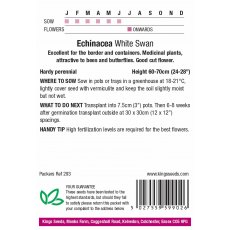Echinacea White Swan Prima Donna Echinacea White Swan Prima Donna