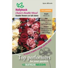 Hollyhock Double Mixed Hollyhock Double Mixed