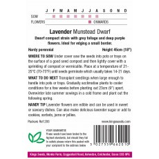 Lavender Munstead Dwarf Lavender Munstead Dwarf