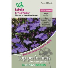 Lobelia Crystal Palace Lobelia Crystal Palace