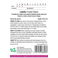 Lobelia Crystal Palace Lobelia Crystal Palace