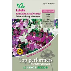 Lobelia Pendula Cascade Mixed Lobelia Pendula Cascade Mixed