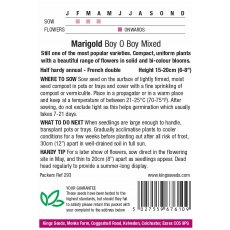 Marigold French Boy O Boy Mixed Marigold French Boy O Boy Mixed