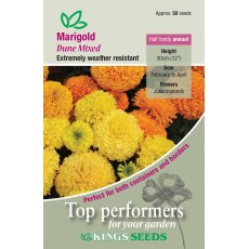 Marigold African Dune Mixed Marigold African Dune Mixed